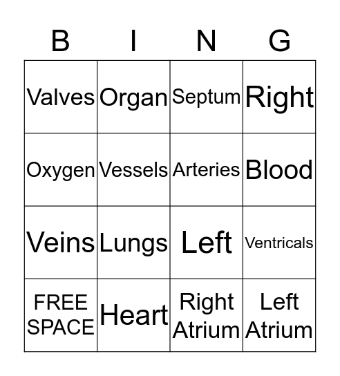 Circulatory System Bingo Card
