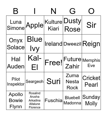 Celebrity Baby Bingo! Bingo Card