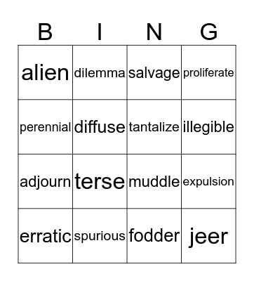 VOCABULARY BING Bingo Card