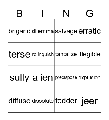 VOCABULARY BING Bingo Card