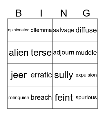 VOCABULARY BING Bingo Card