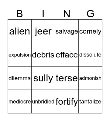 VOCABULARY BING Bingo Card