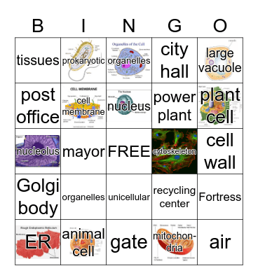 CELL organelles - city analogy Bingo Card