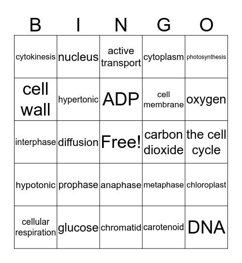 Test 2 Review: Practical Bio Bingo Card