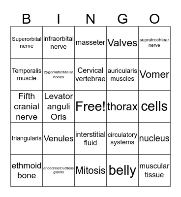 Anatomy & Physiology  Bingo Card