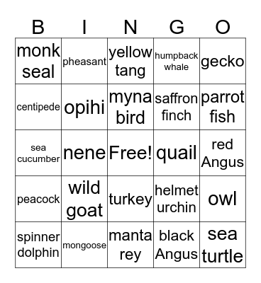 Animals Bingo Card