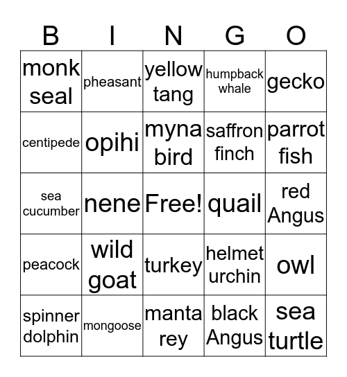 Animals Bingo Card