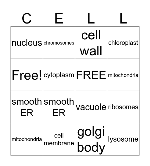 Cell Organelles Bingo Card