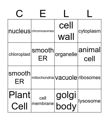 Cell Organelles Bingo Card