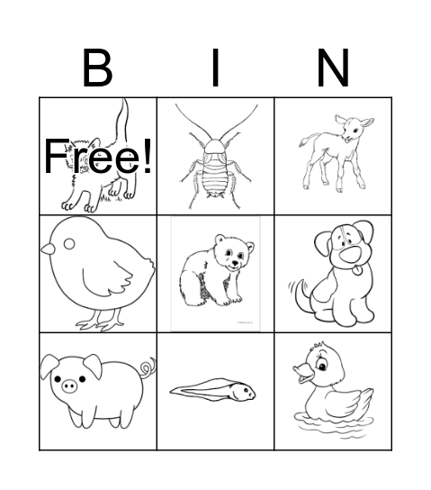 Baby Bingo Card