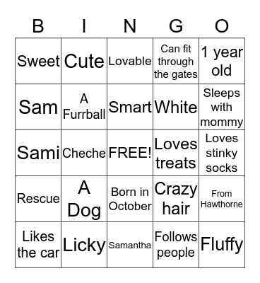 Samingo Bingo Card