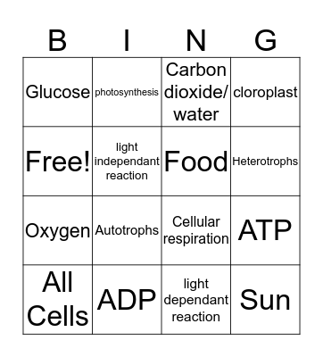 BIO BINGO! Bingo Card