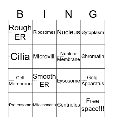 Biology Bingo  Bingo Card