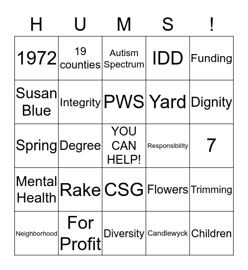 Volunteer Experience Bingo Card