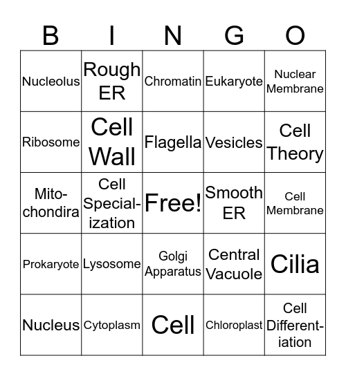 Cell Organelle Bingo Card