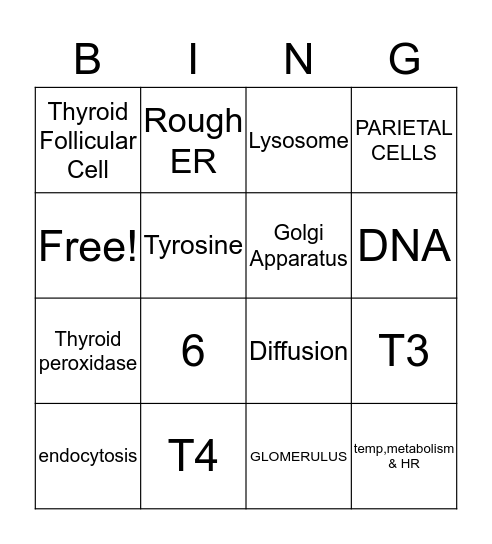 THYROID HORMONE SYNTHESIS Bingo Card