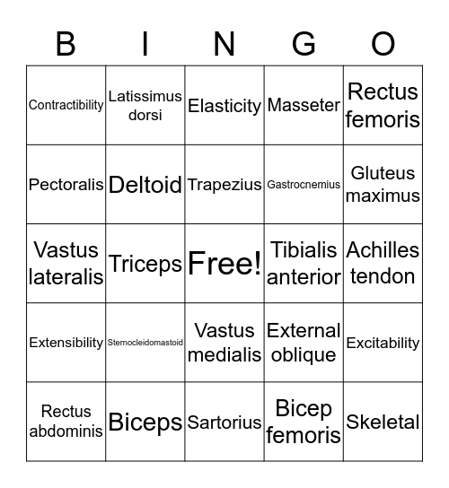 Muscles Bingo Card