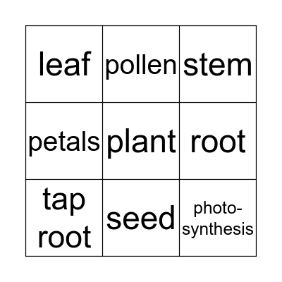 Plants Bingo Card