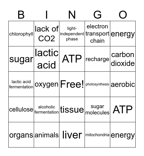 Cell Activities Bingo Card