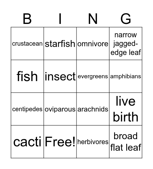Classification of Animals Bingo Card