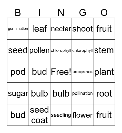 Plant Vocabulary Words! Bingo Card