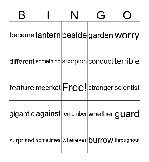3rd Bingo Card