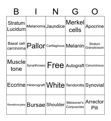 Integumentary/Joints Bingo Card