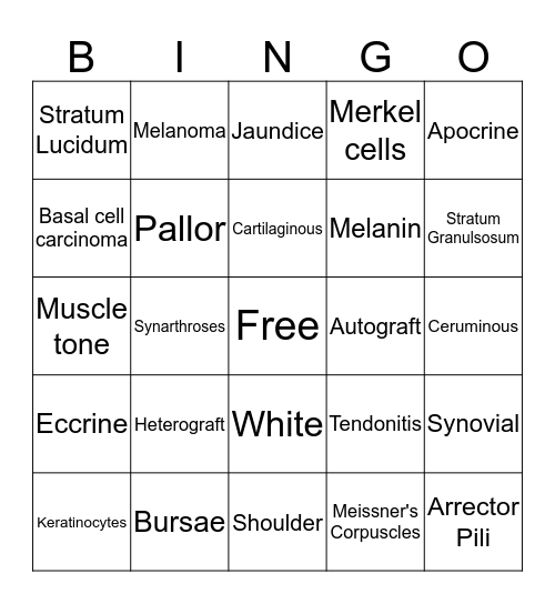 Integumentary/Joints Bingo Card