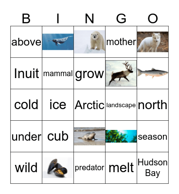 Vocabulary BINGO Card