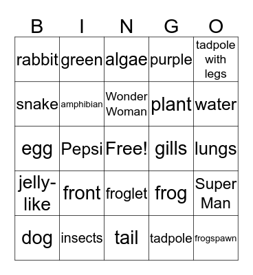 Frog Life Cycle Bingo Card