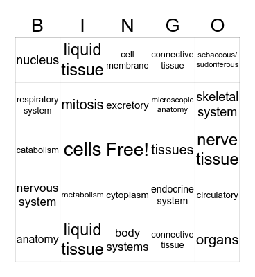 Anatomy Bingo Card