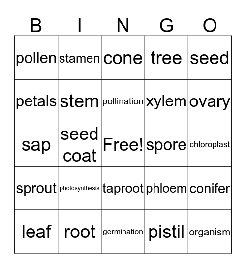 Plant Structures Bingo Card