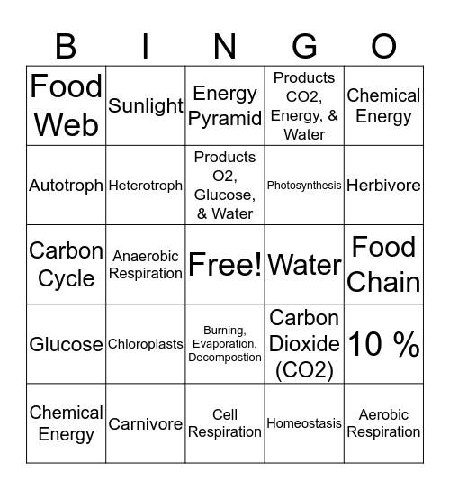 Unit 8 Bingo Card Bingo Card