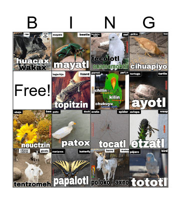 Nahuatl Loteria Bingo Card