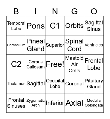 HEAD Bingo Card
