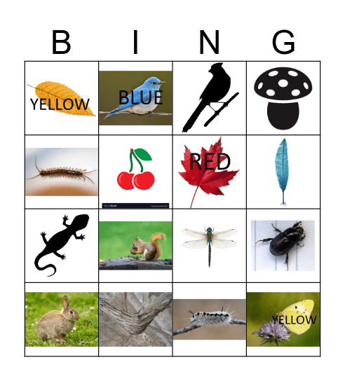 Hiking Bingo Card