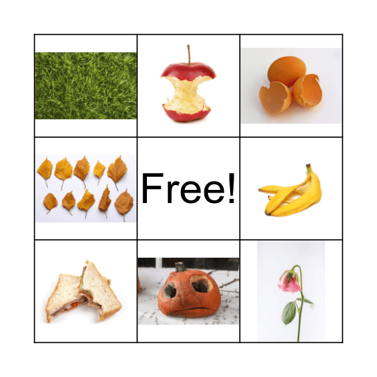 Compost BINGO Card