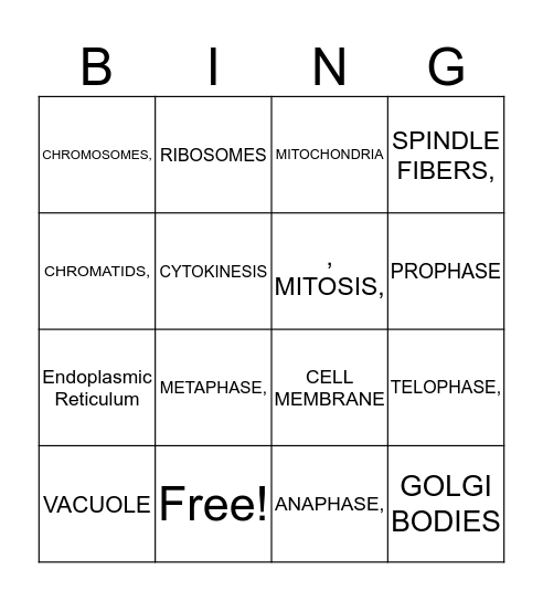 Mitosis Bingo Card