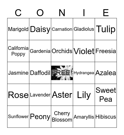 Happy 70th Birthday Connie! Bingo Card