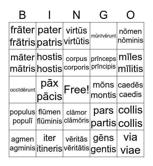 Latin Vocabulary Bingo Card