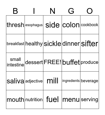 Our Bodies' Fuel (EI) Bingo Card