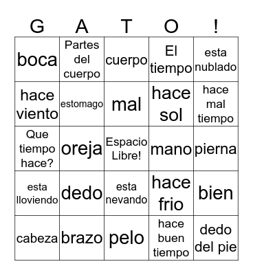 Partes del Cuerpo Bingo Card