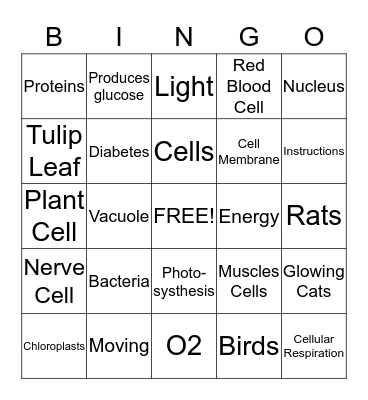 Cell Test Review Bingo Card