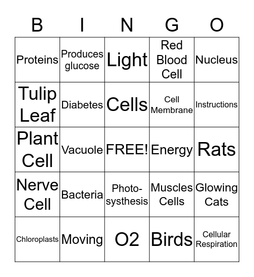 Cell Test Review Bingo Card