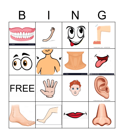 Body Parts Bingo Card