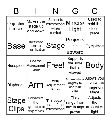 Parts of the Mircoscope Bingo Card