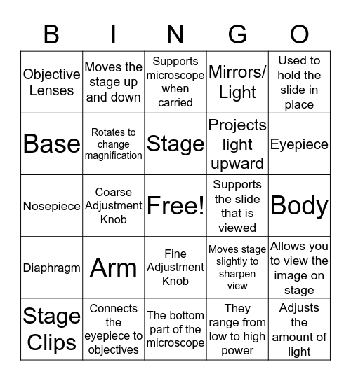 Parts of the Mircoscope Bingo Card