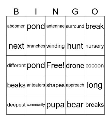 The Lives of Ants Bingo Card