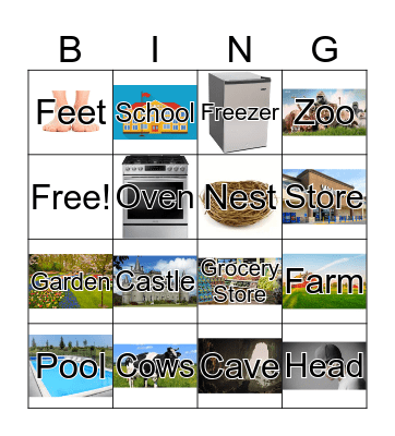 Where Bingo Card