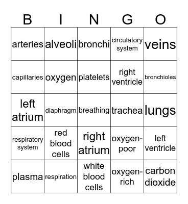 The Circulatory & Respiratory Systems Bingo Card